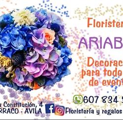 Ariabad Sl, El Barraco