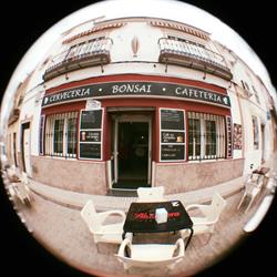 Café Bar Bonsai, La Puebla de los Infantes