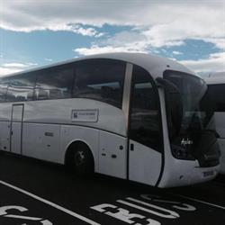 Platabus autocares, Almensilla