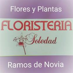 Floristería Soledad, Madrid