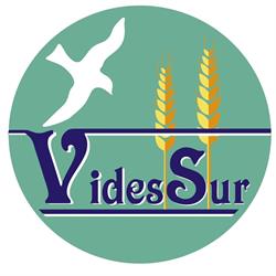 Videssur, Sevilla