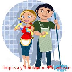 Limpieza y Mantenimiento Velasco, Mojados