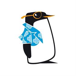 Pingüitours, Valencia