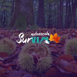 Autoescola Survial, Sabadell