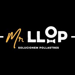 Mr.Llop, Teià
