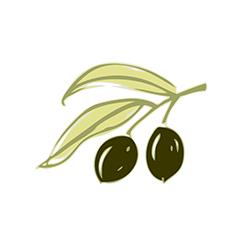 Aceitunas Salinas, Almoradí