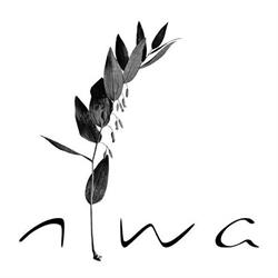 Niwa, Madrid