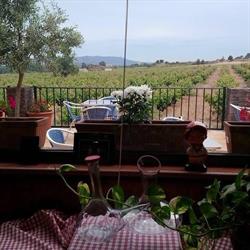 El Racó de la Vinya, Vila-Rodona