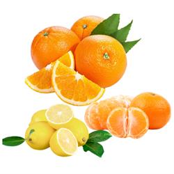 Quiero Naranjas Ecológicas | Comprar Naranjas Online, Alzira