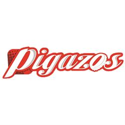 Pigazos Logística y Distribuciónes, S.L., Fuentelapeña