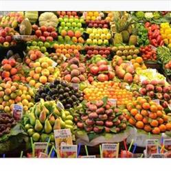 Al raí frutería, Orio
