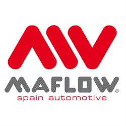 Maflow Spain Automotive, Guarnizo