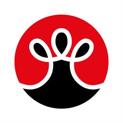 Sushi Izumi, Valencia