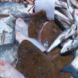 Pescados Y Mariscos Isabel Y Chiqui, Huelva
