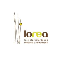 Herboristeria Lorea, Altsasu