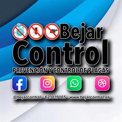 Bejarcontrol Prevención Y Control De Plagas