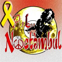 Pub Noctambul, Cervera