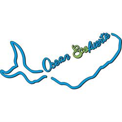 Ocean Ecofuerte, Puerto del Rosario