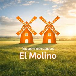 Supermercado El Molino (Carniceria Petri & Gregorio), Siruela
