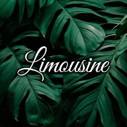 Limousine Discoteca, Elche