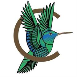 Colibry, Sevilla