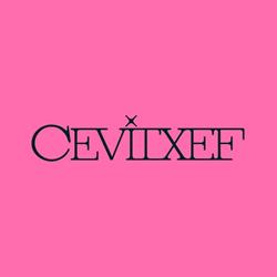 Cevitxef Bilbao
