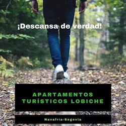Apartamentos Lobiche, Navafría