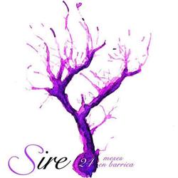 Bodegas Sire, Peñafiel