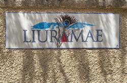 Liuramae, Borja