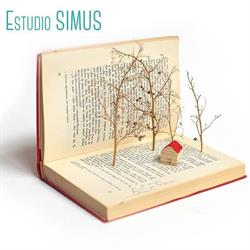 Estudio SIMUS, Madrid