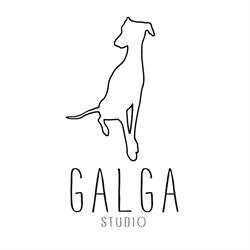 Galga studio, Madrid