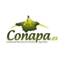 Centro de Negocios Conapa, Getafe