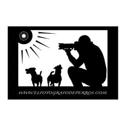 El fotógrafo de perros, Madrid