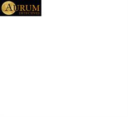 AURUM Detectives, Sevilla