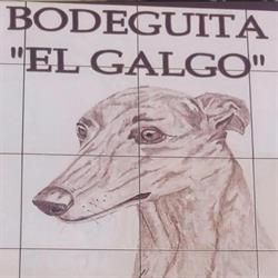 Bodeguita el galgo, Lebrija