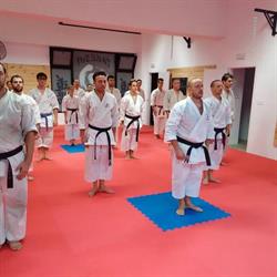 Takeshi DOJO, Madrid