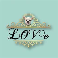 Love MODA & STYLE, Torre-Pacheco