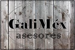 Galimex Asesores., Pontevedra
