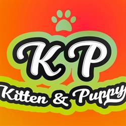 Kitten & Puppy, Sabadell