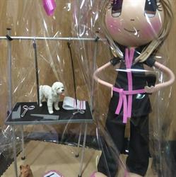 Laycan Peluqueria Canina, Madrid