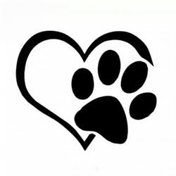 Peluqueria Canina Ribadeo - Peluqueria canina-Autolavado mascotas 24H- Lavandería ropa mascotas 24H