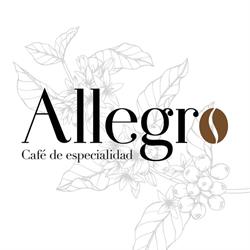 Café_allegro, Pamplona