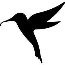 Bar Ca'Colibri, La Vall d'Uixó