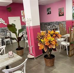 Candy Coffee Lleida