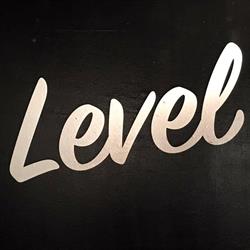 Level DiscoPub Guadalajara
