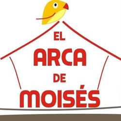 El Arca de Moisés, Santa Amalia