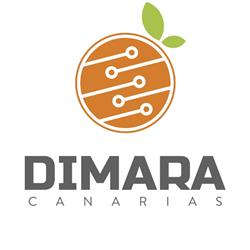 Dimara Canarias, Telde