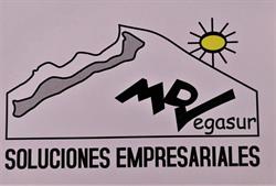 MDV Vegasur Soluciones Empresariales, La Zubia