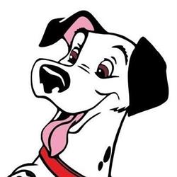 Peluqueria canina Dalmata, Guía de Isora