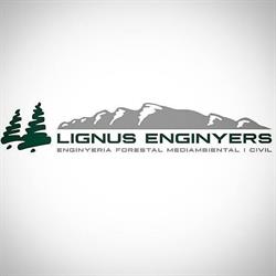 Lignus Enginyers, SCP, Montferrer